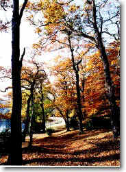 Wimbledon Common: An area of peace tranquillity and horribly gruesome murder.